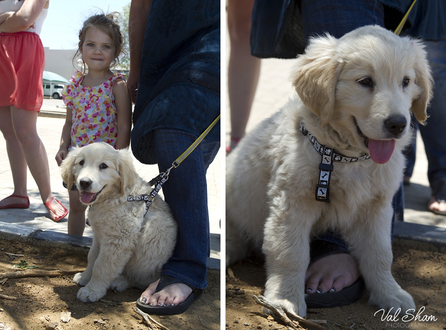 Val Sham Photography_crossfit_008