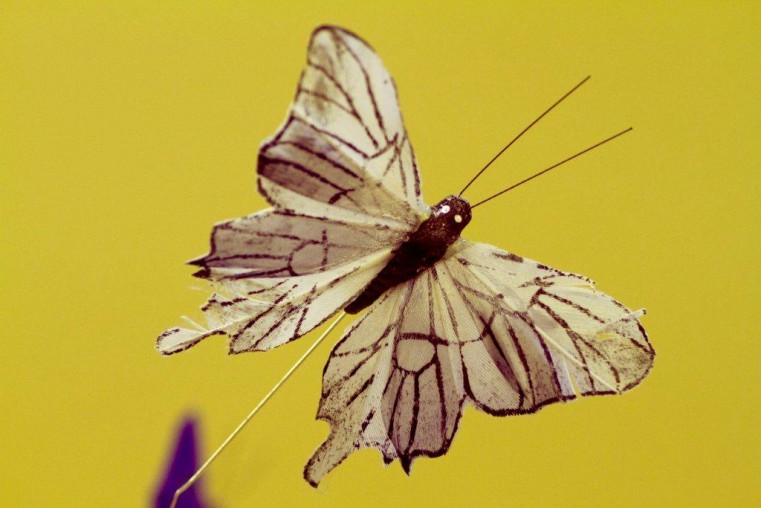 Darryn_Barmitzvah_9 (2)