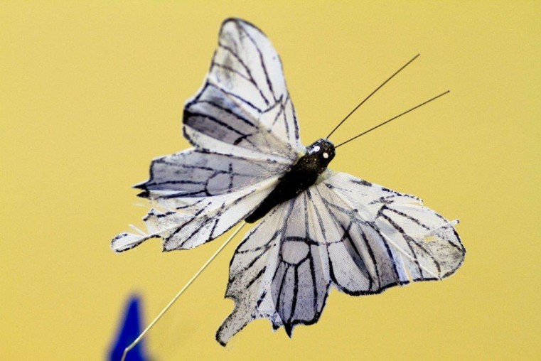 Darryn_Barmitzvah_9_1