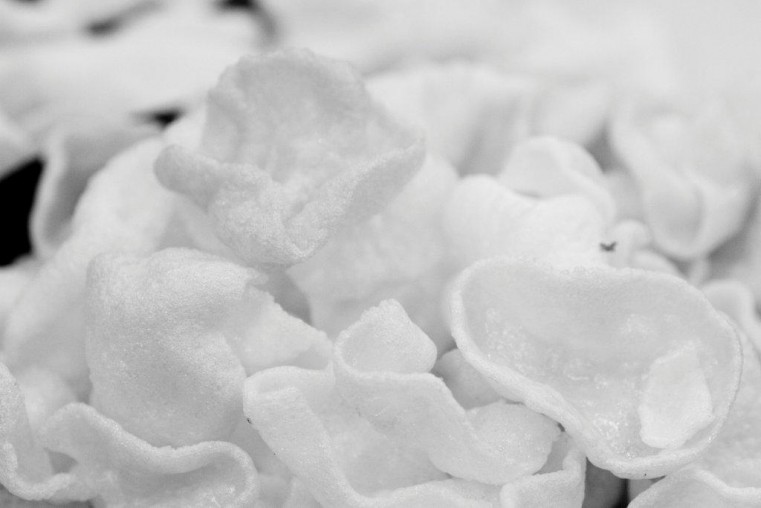 Darryn_Barmitzvah_b&w_2