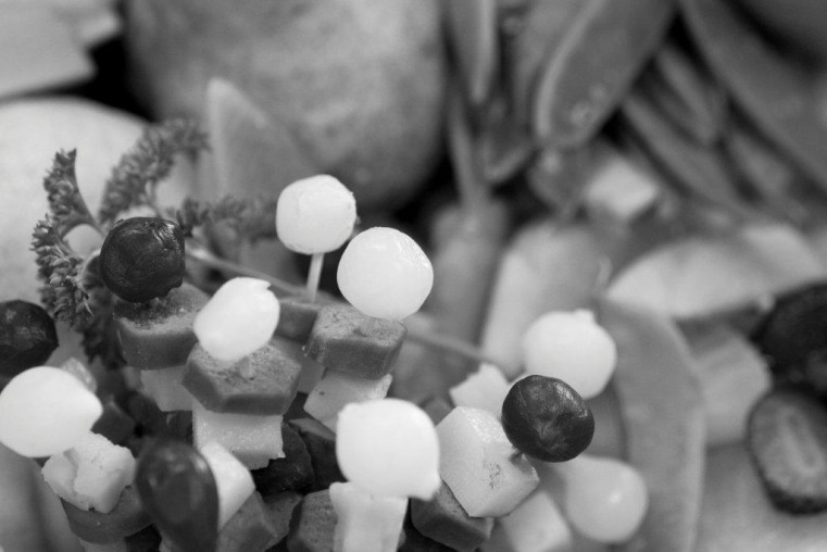 Darryn_Barmitzvah_b&w_3