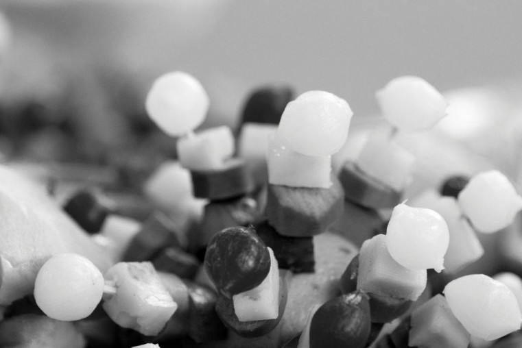 Darryn_Barmitzvah_b&w_5