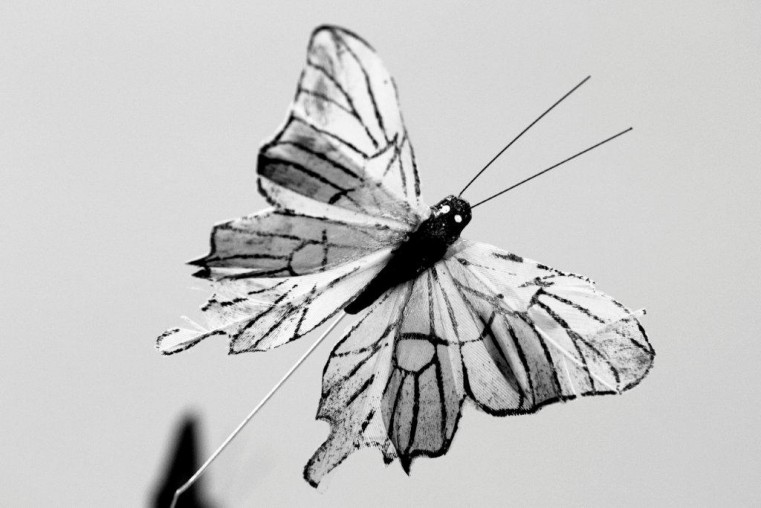 Darryn_Barmitzvah_b&w_9