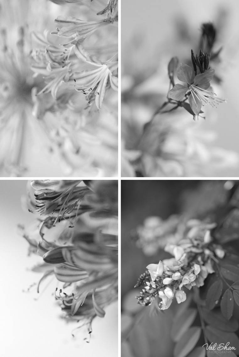 Val Sham Photography-Liz Birthday_002