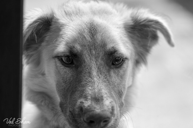 Val Sham Photography-Liz Birthday_005