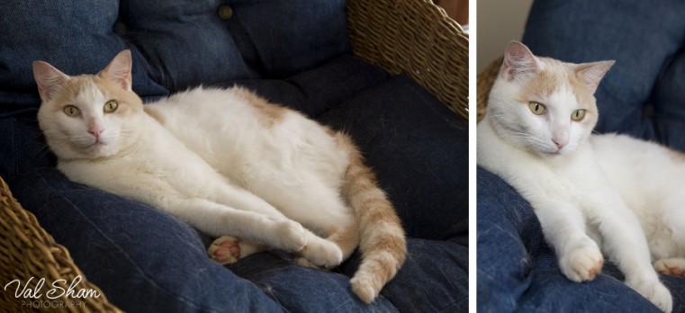 Val Sham Photography-Liz Birthday_018