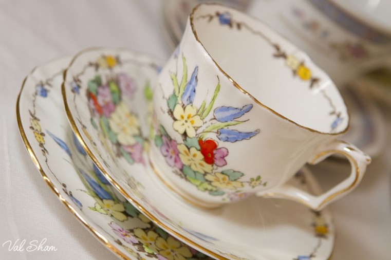 Val Sham Photography-Liz Birthday_020